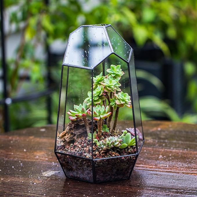 NCYP Geometric Glass Terrarium Planter for Succulent, Small Cacti, Black Irregular Opened Container Pot, Indoor Home Garden Office Tabletop Decor, 6.5" x 5.7" x 9.8" (No Plants, No Door)-Ruum Studio Home