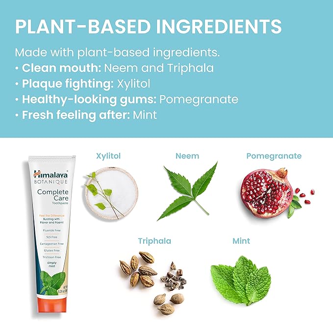 Himalaya Botanique Complete Care Toothpaste, Herbal, Mint Flavor, Fights Plaque, Freshens Breath, Fluoride Free, No Artificial Flavors, SLS Free, Cruelty Free, Foaming, 5.29 Oz, 2 Pack…-Ruum Studio Home