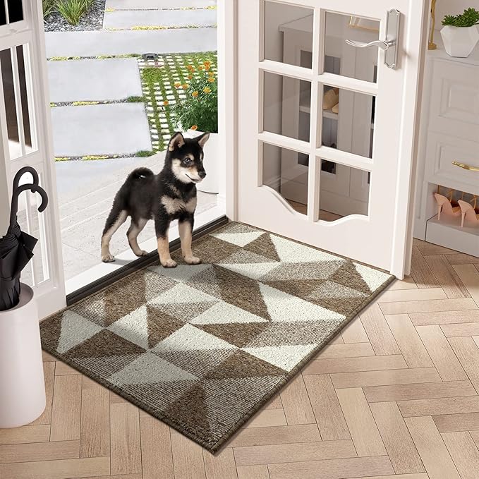 hicorfe Indoor Doormat,24"x35" Front Back Door Mat Rubber Backing Non Slip Door Mats,Low-Profile Absorbent Resist Dirt Entryway Doormat Inside Floor Mats for Entrance-Ruum Studio Home