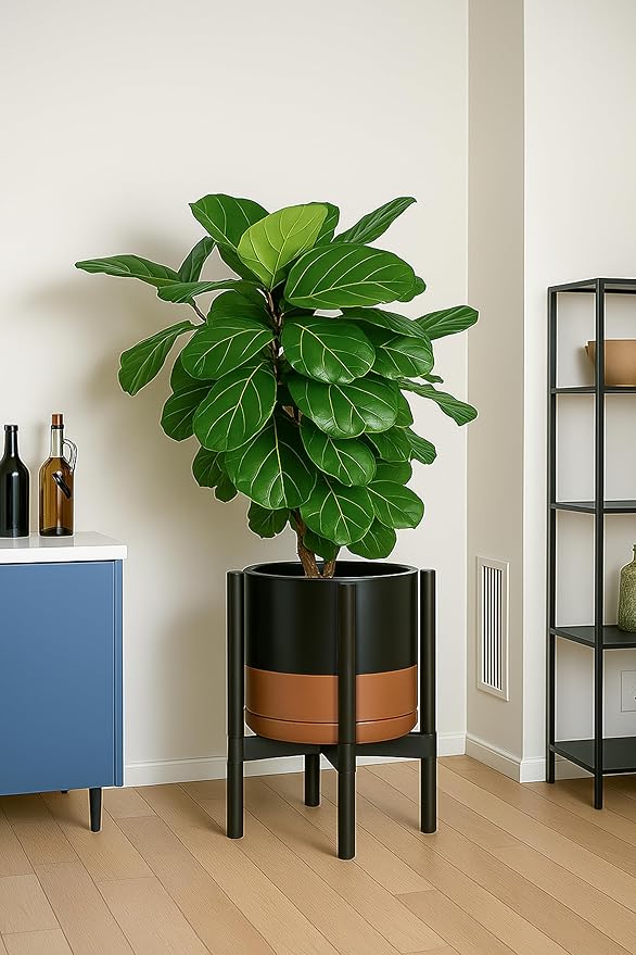 D'vine Dev Ceramic Planter with Ebony Stand - 12 Inch Modern Round Flower Pot with Wood Planter Holder, Black/Speckled Tan, 55-B-H-7-Ruum Studio Home