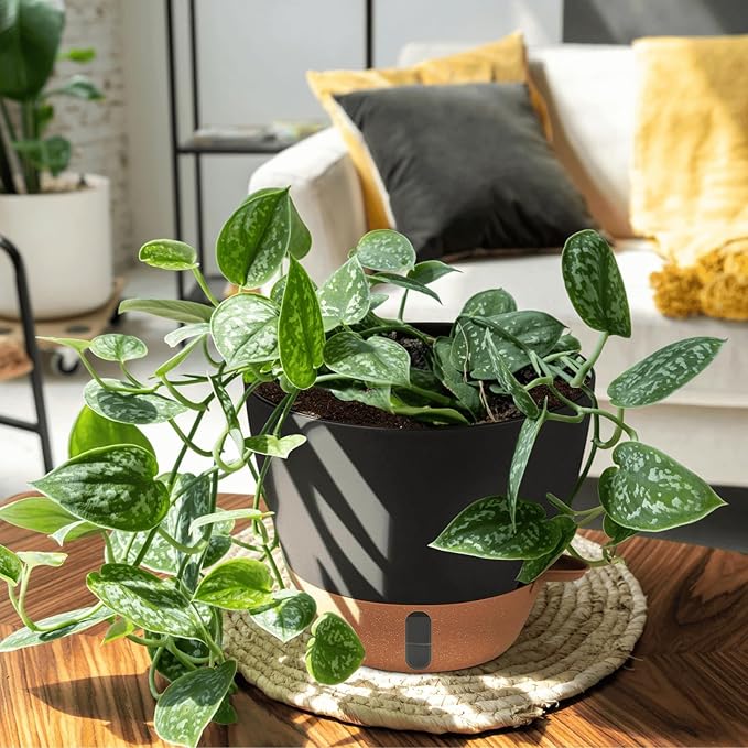 12/10/8 Inch Self Watering Pots for Indoor Plants Plastic Large Plant Pot for Outdoor Plants, Water Level Window & Spacious Reservoir Flower Pots Decorative Planter with Drainage and Tray (Black)-Ruum Studio Home