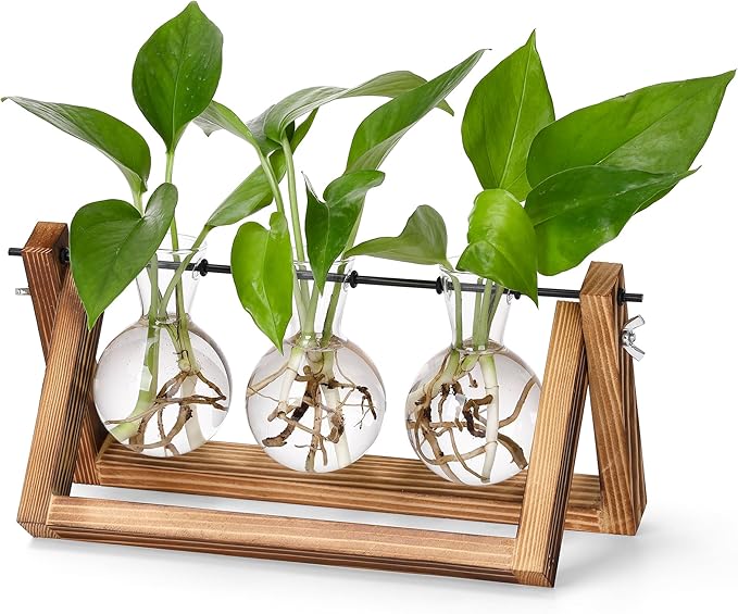 YIBOT Plants Propagation Stations,Desk Plant Terrarium with Retro Wooden Stand,Plant Lover Gifts for Women for Hydroponics Plants Home Garden Wedding Decor(3 Bulb Vase)-Ruum Studio Home
