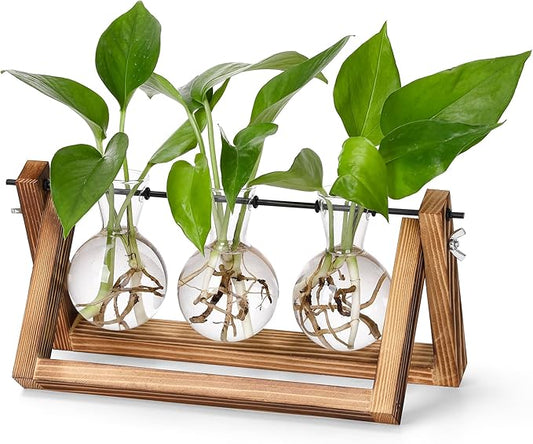 YIBOT Plants Propagation Stations,Desk Plant Terrarium with Retro Wooden Stand,Plant Lover Gifts for Women for Hydroponics Plants Home Garden Wedding Decor(3 Bulb Vase)-Ruum Studio Home