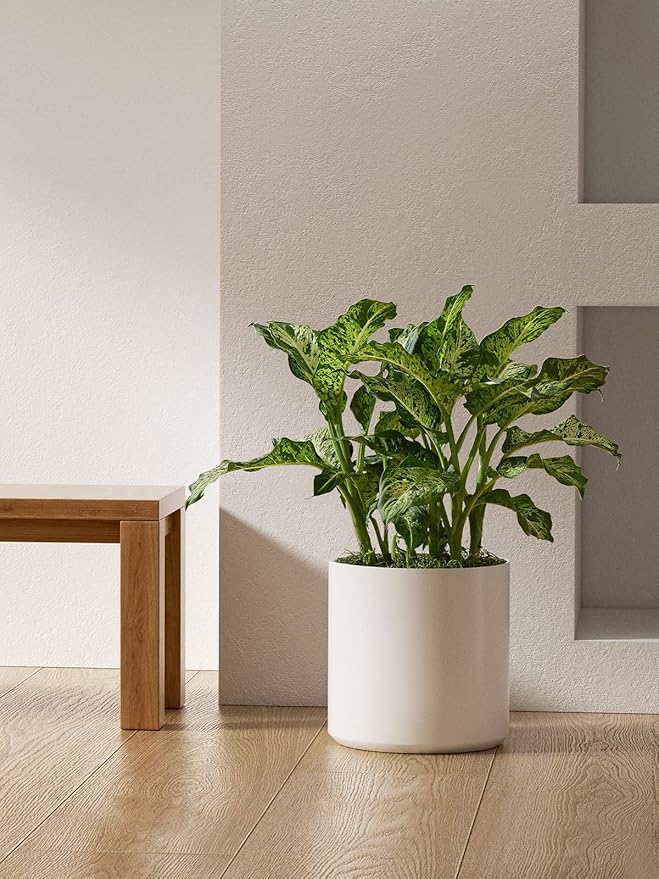 LE TAUCI 12 Inch Pot for Plants, Ceramic Large Planter for Indoor Plants, Mid-Century Modern Flower Pots with Drainage Hole and Removable Plug, White-Ruum Studio Home