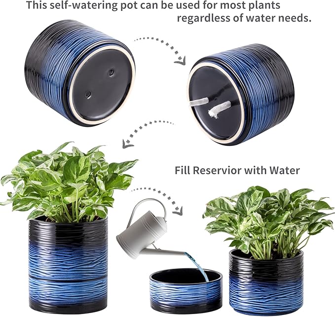 Nihow Self Watering Plant Pot: 6 Inch Ceramic Planter with Drainage Hole & Water Storage Plus for Indoor & Outdoor Plants - Cylinder Round Flower Pot for Succulent/Herbs/Violets - Black & Vivid Blue-Ruum Studio Home
