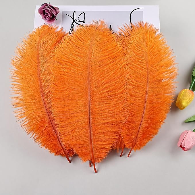 THARAHT Orange Ostrich Feathers 12pcs Natural Bulk 10-12Inch 25cm-30cm for Crafts Wedding Party Centerpieces Halloween and Home Decoration Feathers-Ruum Studio Home