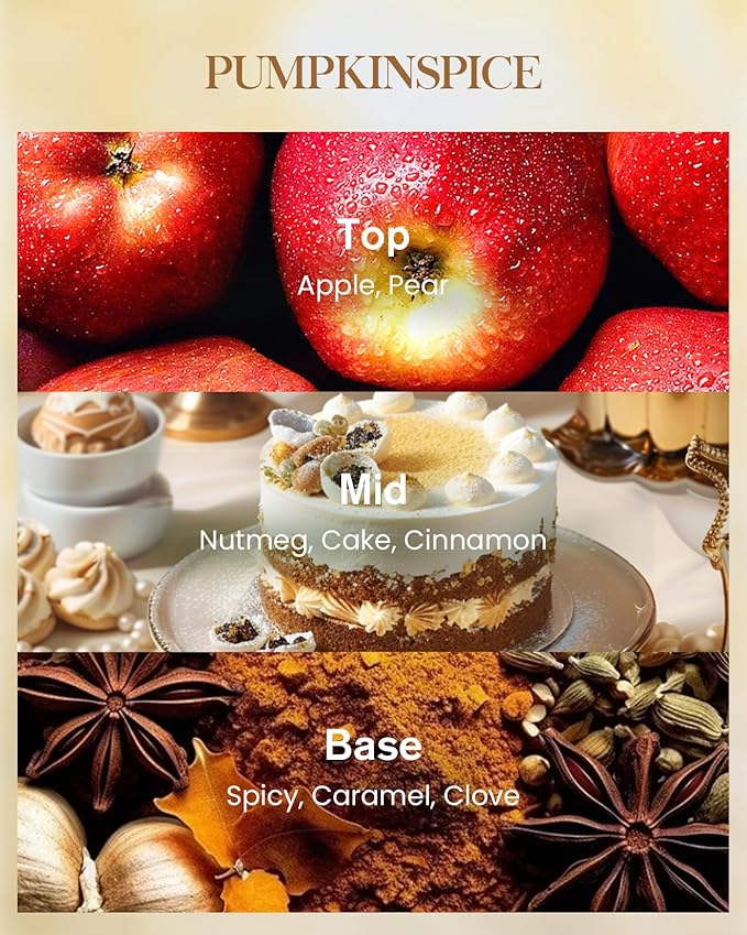 M&SENSE Pumpkin Spice Scented Candle, Soy Candles 14.1oz 60H Burn Time Slow Burning, Fall Scent Unique Halloween Gifts Home Decor-Ruum Studio Home