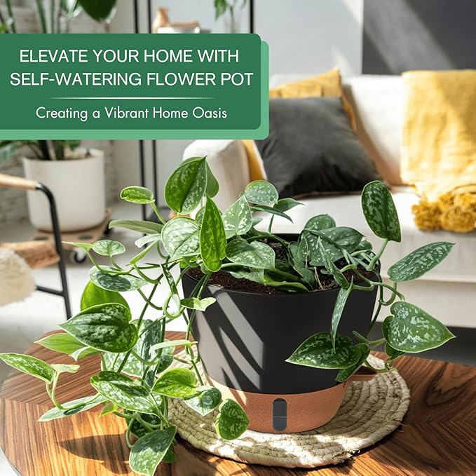 montresor 2 Pack 8 inch Plant Pots, PP Plastic Self Watering Plant Pot with Drainage and Tray for Indoor Outdoor Plants, Water Level Window & Reservoir Flower Pots Decorative Planter (Black)-Ruum Studio Home