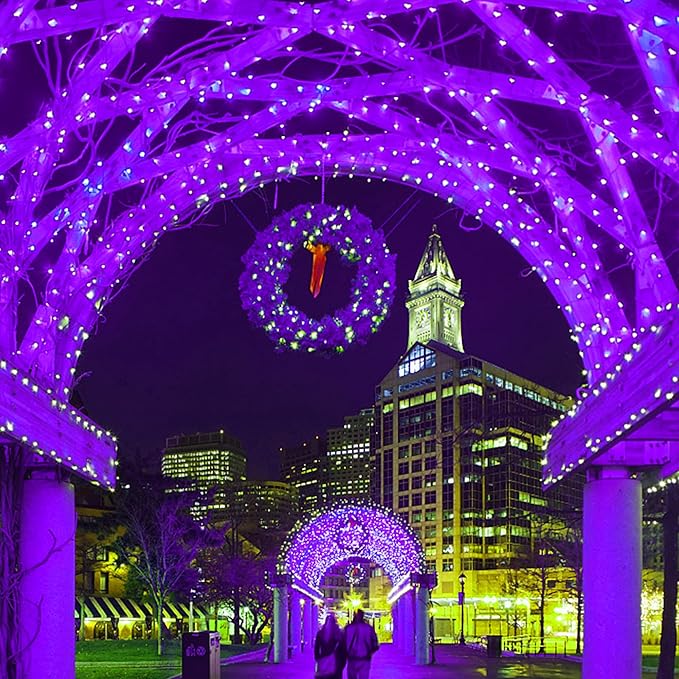 HOME LIGHTING 66ft Halloween Decorative Mini Lights, 200 LED Green Wire Fairy Starry String Lights Plug in, 8 Lighting Modes, for Indoor Outdoor Xmas Tree Wedding Party Decoration (Purple)-Ruum Studio Home
