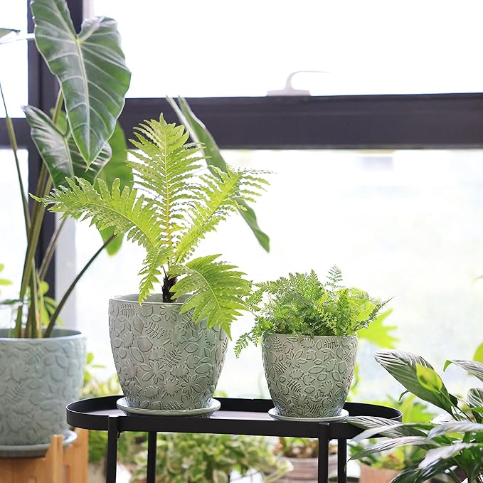 8 Inch + 6 Inch Plant Pots for Indoor Plants, Ceramic Planter with Drainage Hole and Saucers, Garden Pots for Succulent, Orchid, and Flower, Set of 2-Ruum Studio Home