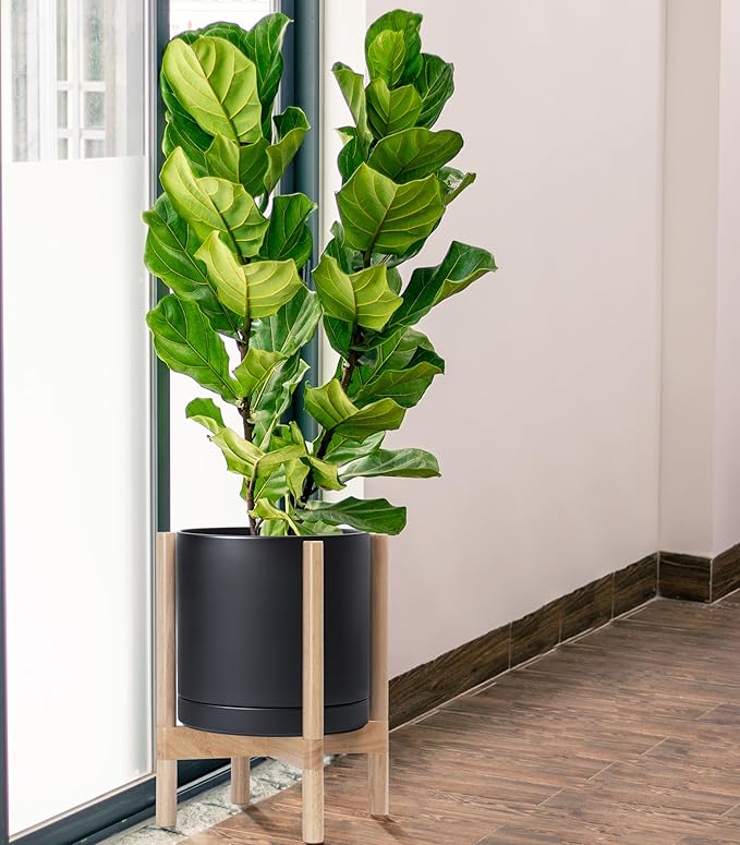 D'vine Dev Ceramic Planter with Natural Stand - 12 Inch Modern Round Flower Pot with Wood Planter Holder, Black, 55-B-J-2-Ruum Studio Home