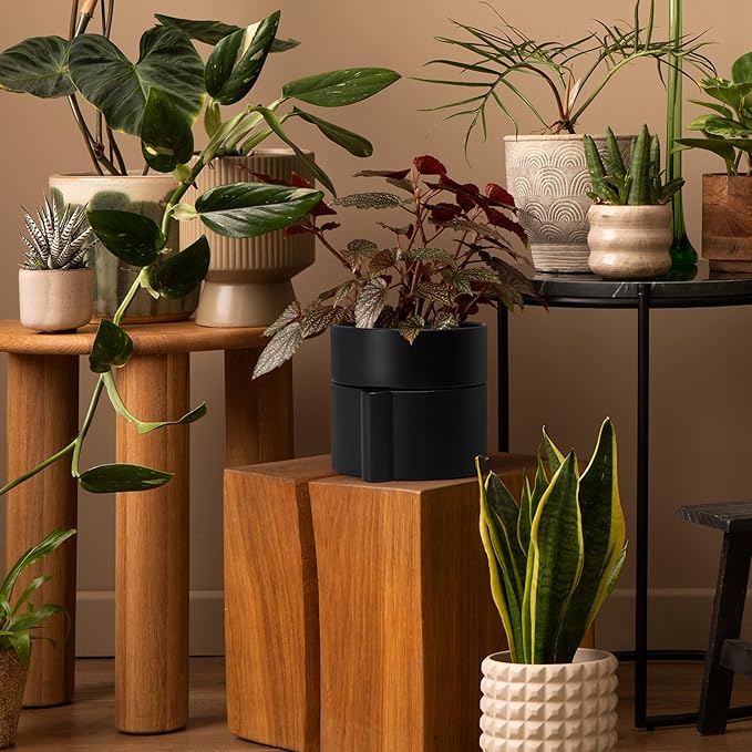 Phoenix Vine 8 Inch Self-Watering Planter Pot with Terracotta Insert, Deep Water Reservoir, and Ceramic-Alike BPA-Free Plastic Planter Pot for Plant, Modern Planter for Houseplants, Black, 53-A-T-2-Ruum Studio Home