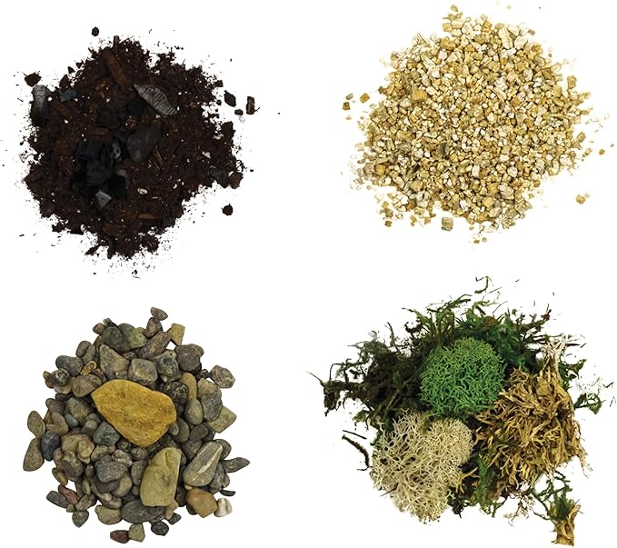 Cute Farms Terrarium Starter Kit | Moss, Vermiculite, Soil, Pebbles, Plant Food, & Finishing Tools (Large + 8 Live Plants)-Ruum Studio Home
