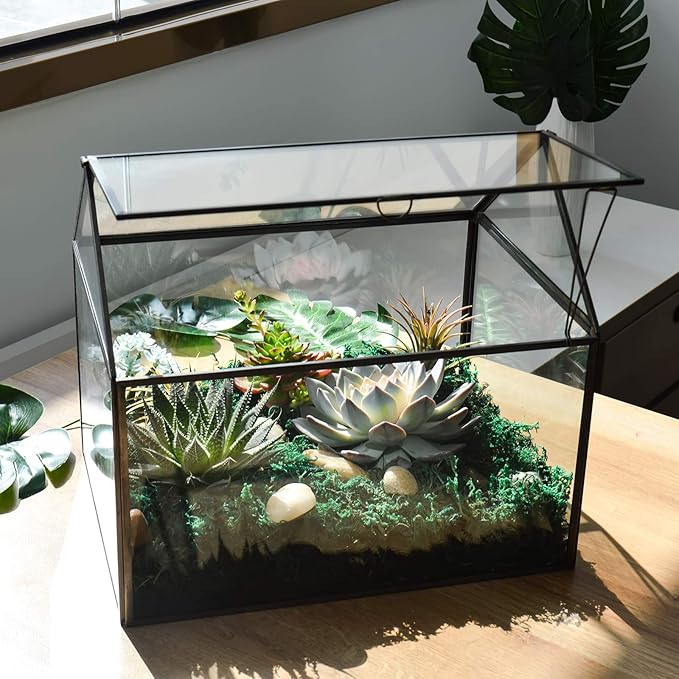 Black 1 Large Glass Plant Terrarium Kit with Lip Greenhouse for Succulents-Ruum Studio Home