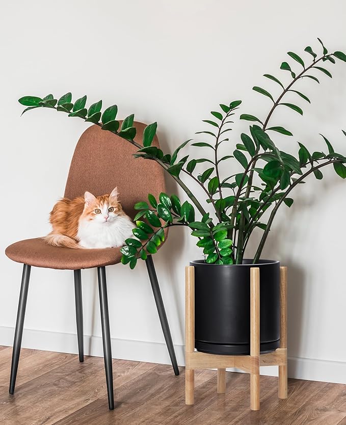 D'vine Dev Ceramic Planter with Natural Stand - 10 Inch Modern Round Flower Pot with Wood Planter Holder, Black, 55-B-K-2-Ruum Studio Home