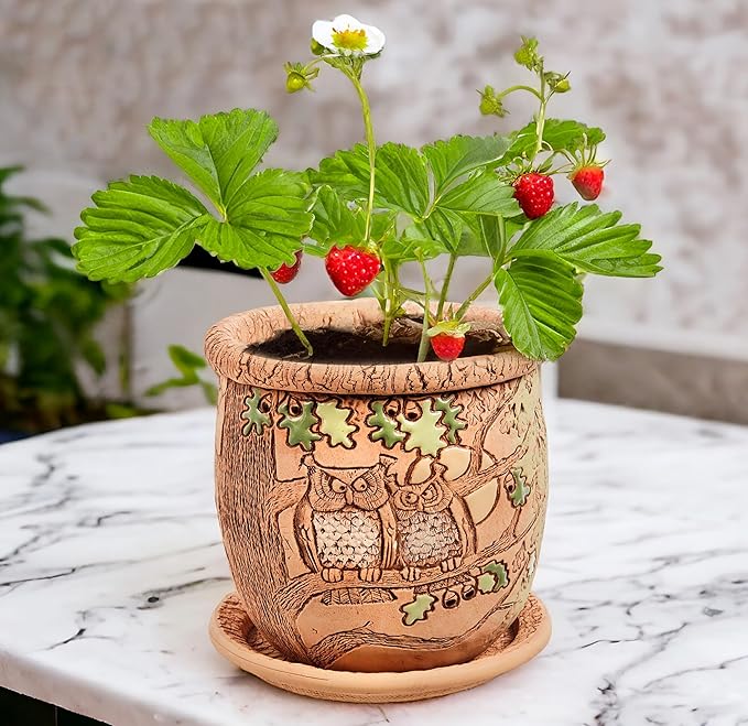 Ceramic Pot with Drainage Hole and Saucer, Plant Pots, Modern Decorative Planters for House Plants Indoor Flowers Plants, Cute Flower Pot - Gifts (Owls (1.6 L))-Ruum Studio Home
