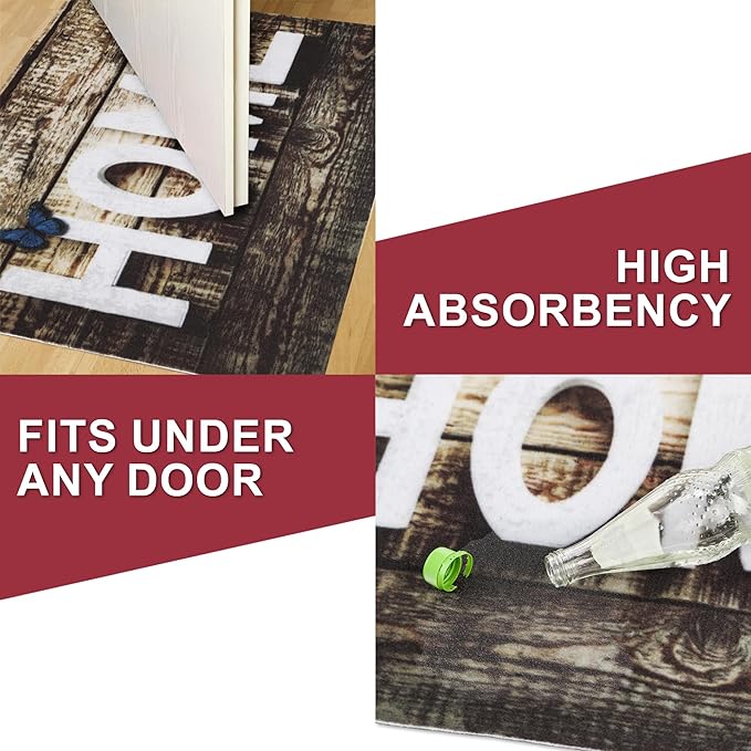 Floor Mat - for Indoor and Outdoor Use - Doormat - Non-Slip - Front Door Shoe Scraper - Size: 17x29-Ruum Studio Home