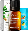 Gya Labs Coriander Essential Oil for Diffuser - 0.34 Fl Oz - 100% Pure Natural Coriander Oil for Skin, Aromatherapy, Skincare Massages & Candle Making Scent-Ruum Studio Home