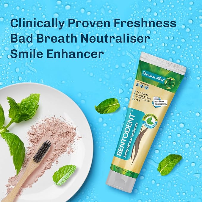 Bentodent Remineralizing Food Grade Organic Calcium Bentonite Clay Toothpaste Fluoride Free Natural Toothpaste for Adult & Kids - Mineral Toothpaste Sensitive Teeth Whitening (Premium Mint)-Ruum Studio Home