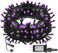 DAZZLE BRIGHT Halloween 300 LED String Lights, 100FT Connectable String Lights with 8 Lighting Modes, Halloween Decorations for Party Carnival Supplies, Indoor Outdoor Yard Garden Decor (Purple)-Ruum Studio Home