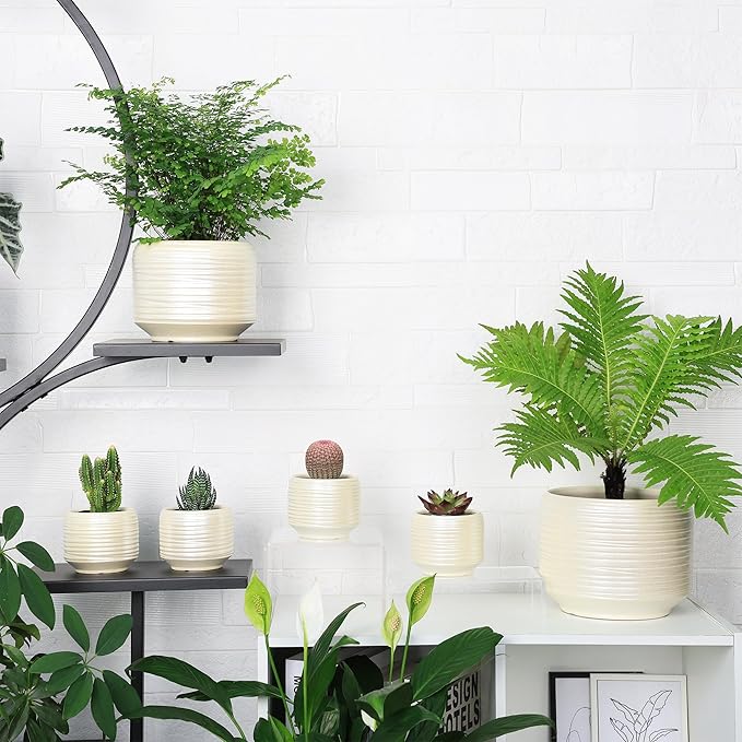 Mini Succulent Planter Set – 3.7 Inch Ceramic Pots with Drainage for Indoor Plants, Small Decorative Flower Pots for Cactus and House Plants, Set of 4-Ruum Studio Home