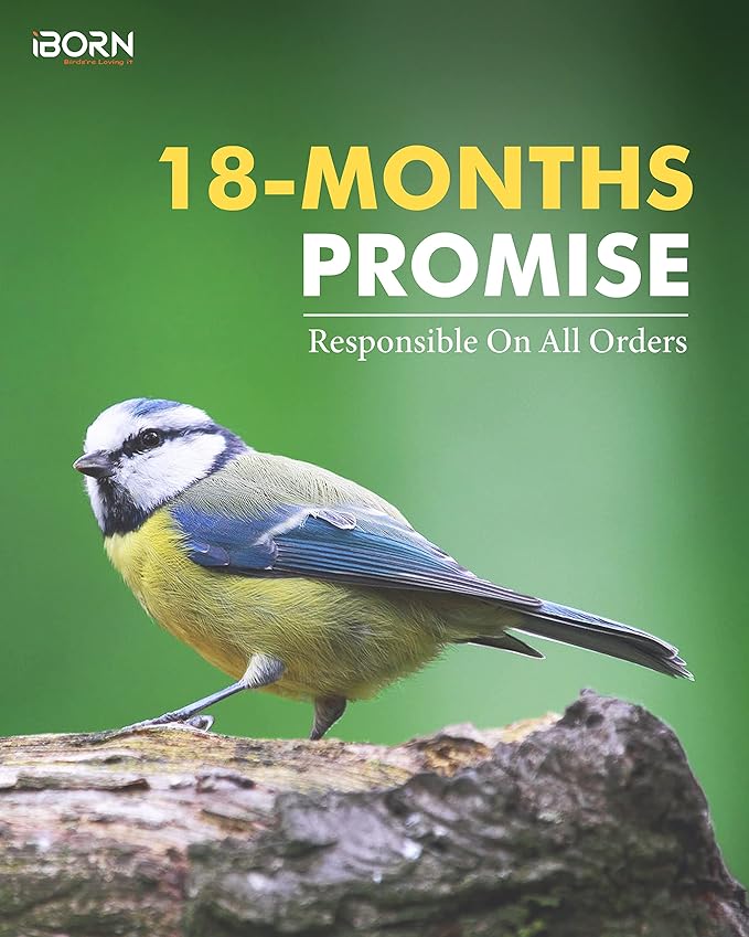 iBorn Metal Bird Feeders Brushed Copper Wild Bird Feeder for Outdoors Hanging All Metal Brushed Copper Finishing 14 Inch 6 Port,Pack of 2-Ruum Studio Home