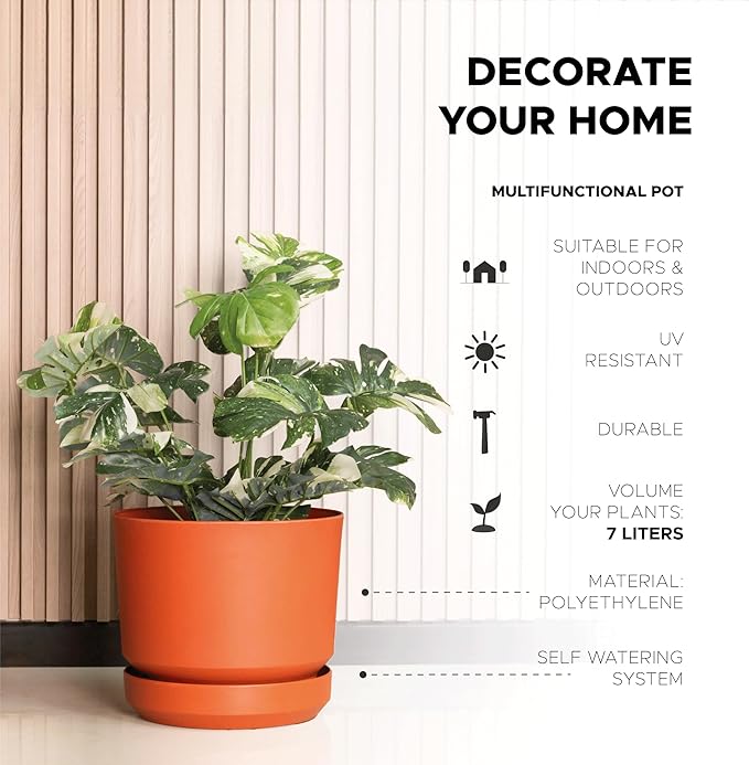 Elly Décor 8 inch Plastic Cylinder Planter Pot with Self-Watering Saucer and Drainage Hole,Lightweight & Extremely Durable, 8"x 8", Terracotta-Ruum Studio Home