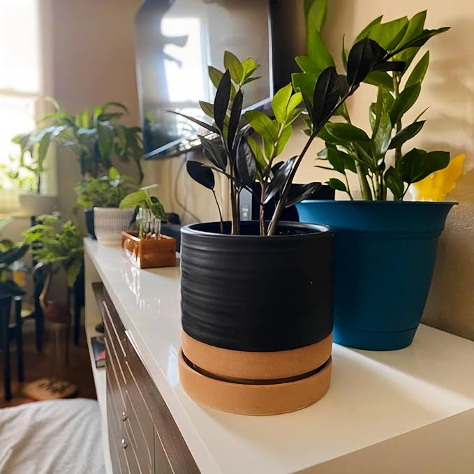6 Inch Plant Pots, Ceramic Planter Pot with Drainage Hole & Saucer, Indoor/Outdoor Cylinder Round Planter Pot, Matte Black & Brown-Ruum Studio Home