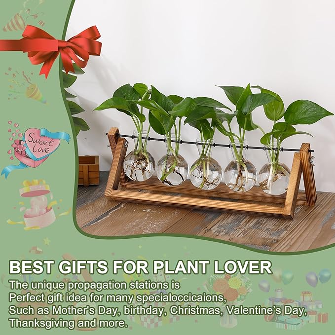 YIBOT Propagation Stations,Plant Terrarium with Wooden Stand,Plant Lover Gifts for Women for Hydroponics Plants Home Garden Wedding Decor(5 Bulb Vase)-Ruum Studio Home