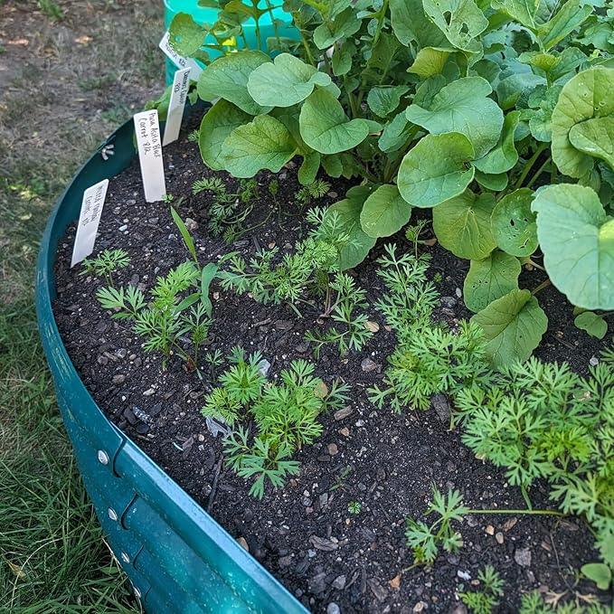 2 Pack 8x4x1FT Galvanized Raised Garden Bed Kit Oval Metal Ground Planter Box Outdoor Bottomless Planter Raised Beds for Vegetables Flowers Herbs Fruits, Green-Ruum Studio Home