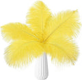 THARAHT Yellow Ostrich Feathers 24pcs Natural Bulk 10-12Inch 25cm-30cm for Crafts Wedding Party Centerpieces Halloween and Home Decoration Feathers-Ruum Studio Home