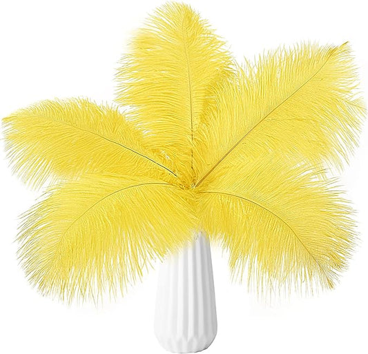 THARAHT Yellow Ostrich Feathers 24pcs Natural Bulk 10-12Inch 25cm-30cm for Crafts Wedding Party Centerpieces Halloween and Home Decoration Feathers-Ruum Studio Home