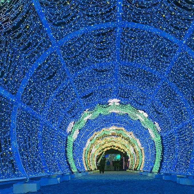 HOME LIGHTING 66ft Christmas Decorative Mini Lights, 200 LED Green Wire Fairy Starry String Lights Plug in, 8 Lighting Modes, for Indoor Outdoor Xmas Tree Wedding Party Decoration (Blue)-Ruum Studio Home