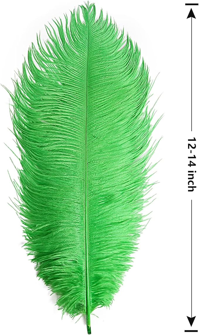 THARAHT Green Ostrich Feathers 12pcs Large Natural Bulk 12-14Inch 30cm-35cm for Wedding Party Centerpieces Mardi Gras and Home Decoration Feathers-Ruum Studio Home