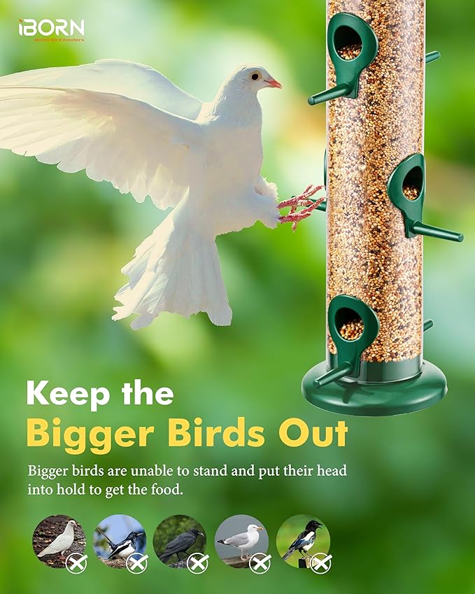 iBorn Metal Bird Feeders 6 Ports Hanging Wild Bird Seed Feeder for Mix Seed Blends, Niger Seed Feeder, Sunflower Heart, Birdbath, Heavy Duty All Metal Green Finishing 14 Inch 6Port-Ruum Studio Home