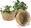 Athaliah Plant Basket Set of 3, Indoor Woven Planter Baskets with Plastic Liner, Water Hyacinth and Corn Husk Decorative Pots for Rustic Home & Floor Plant Decor (Natural Color-3)-Ruum Studio Home