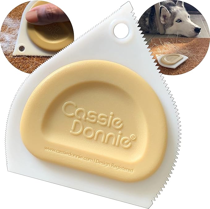 Mini Pet Hair Detailer, Pet Hair Remover for Carpet Couch Bedding Sofa, Car Interior Auto Detailing Supplies, Dog Cat Fur Reusable Brush for Furniture-Ruum Studio Home