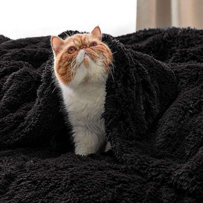 Bedsure GentleSoft Fluffy Black Blankets Queen Size for Bed, Thick Sherpa Faux Fur Fleece Fuzzy Plush Winter Warm Soft Full Queen Blankets, Bedroom Decor Black Gifts Cozy Gifts for Women Men, 90x90-Ruum Studio Home