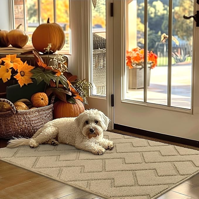 hicorfe Indoor Door Mat,Non Slip Door Mats,32"x48" Front Back Door Mat Rubber Backing,Absorbent Resist Dirt Entrance Inside Floor Mats for Entryway Washable Low-Profile(Beige)-Ruum Studio Home