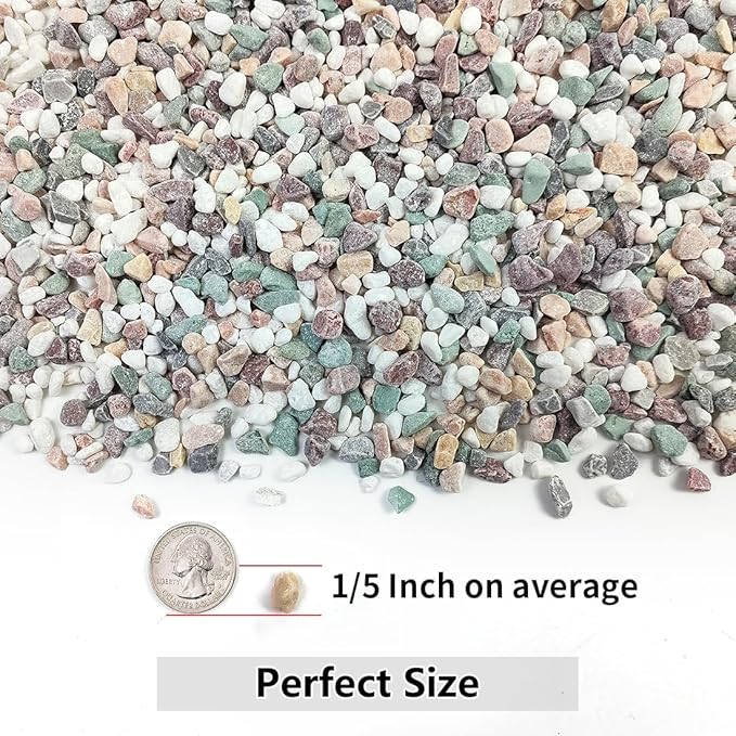 5LB Succulent and Cactus Gravel Pebbles, 1/5 Inch Natural Decorative Polished Stones, River Rocks for Vases Gardening Indoor and Outdoor Decorative Rocks, Colorful-Ruum Studio Home