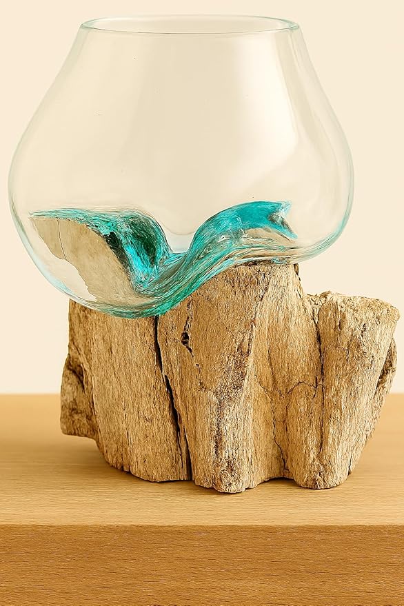 OMA Molten Glass on Driftwood – Hand Blown Vase, Terrarium, or Planter for Coastal & Boho Home Décor Centerpieces (6" - 7" High)-Ruum Studio Home