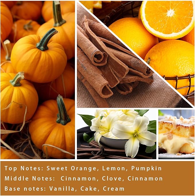 Cinnamon & Pumpkin Scented Candle – Fall Candles for Home Scented, Soy Candles for Home, 7 oz Cozy Pumpkin Candle for Women & Men, Autumn Décor & Holiday Gifts-Ruum Studio Home