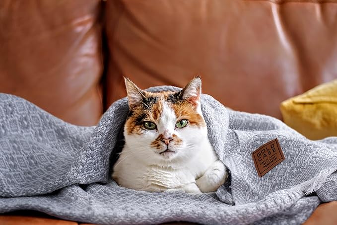 Gold Case Throw Blanket for Couch - 100% Recycled Turkish Cotton Blankets & Throws - Retro Soft Throw Blankets for Living Room Sofa - Boho Decorative Woven Throws for Couch - 60x80 - Navy Blue-Ruum Studio Home