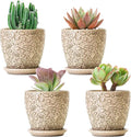 4 Inch Mini Plant Pots, Ceramic Succulent Planter with Drainage Hole and Saucers for Indoor Plants, Small Garden Pots for Succulent, Herb and Flower, Set of 4-Ruum Studio Home