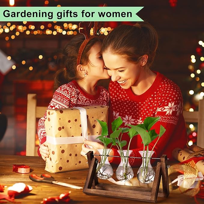 YIBOT Propagation Stations,Plant Terrarium with Retro Wooden Stand, Unique Gardening Birthday Gifts for Women Plant Lovers, Hydroponics Plants Home Office Garden Decor - 3 Bulb Glass Vases-Ruum Studio Home