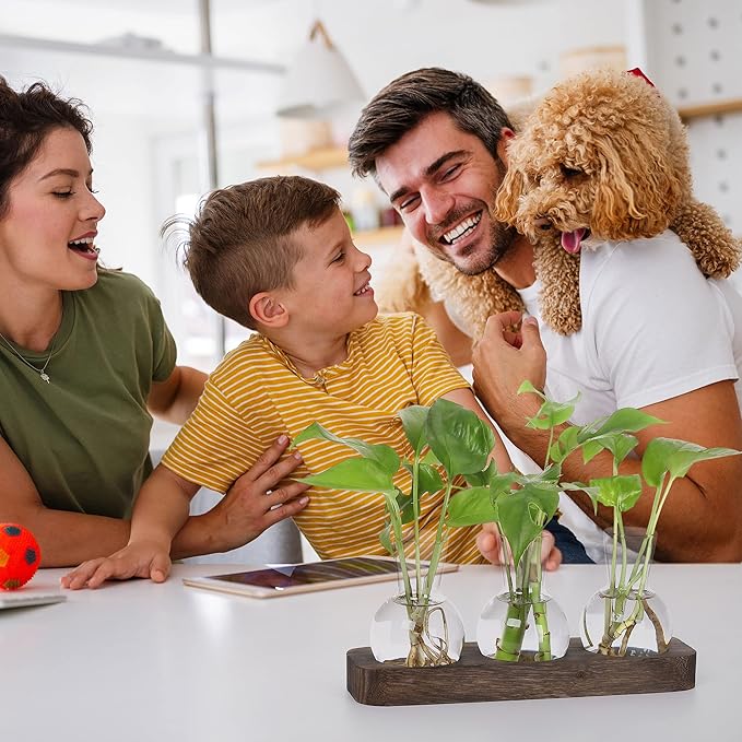 YIBOT Propagation Stations,Plant Propagation Vase,Desk Plant Terrarium with Retro Wooden Stand,Plant Lover Gifts for Women for Hydroponics Plants Home Garden Wedding Decor(3 Vase)-Ruum Studio Home