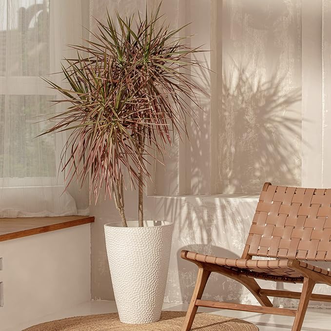 LA JOLIE MUSE Tall White Planter for Indoor Plants,20 Inch Tall Round Planter, Modern Flower Pot Containers,Large Decorative Tree Plant Pot,1 Pack-Ruum Studio Home