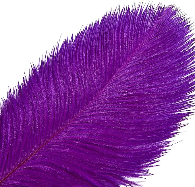 THARAHT Purple Ostrich Feathers 12pcs Large Natural Bulk 12-14Inch 30cm-35cm for Wedding Party Centerpieces Halloween and Decoration Feather-Ruum Studio Home