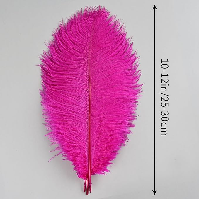 THARAHT Hot Pink Ostrich Feathers 12pcs Natural Bulk 10-12Inch 25cm-30cm for Crafts Wedding Party Centerpieces Easter Gatsbi and Home Decoration Feathers-Ruum Studio Home