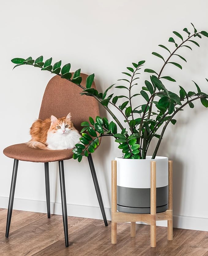 D'vine Dev Ceramic Planter with Natural Stand - 10 Inch Modern Round Flower Pot with Wood Planter Holder, White/Grey, 55-B-K-6-Ruum Studio Home